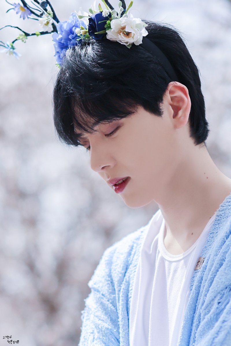240330 벚꽃놀이      

#정현 #JUNGHYUN #코히 #KOHI