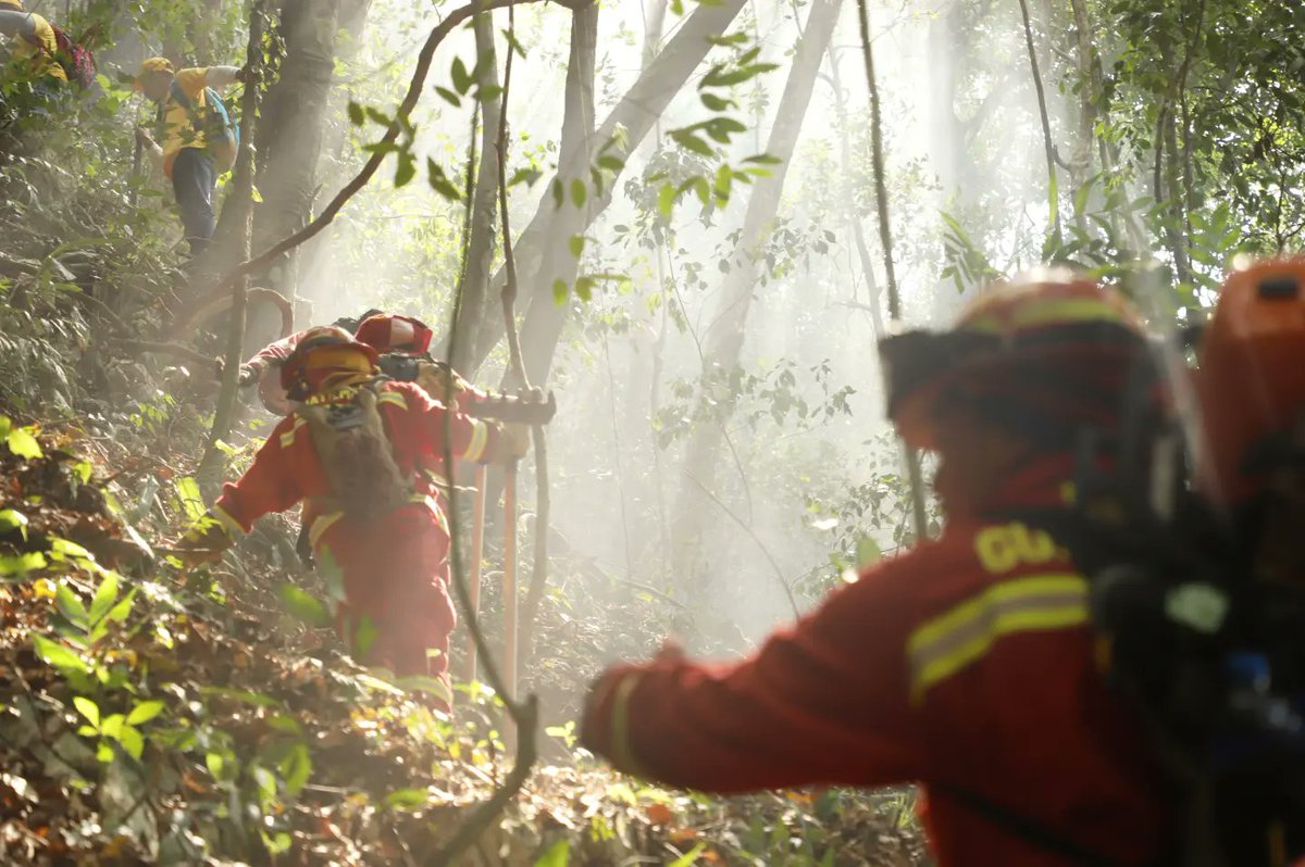 bomberosmuni's tweet photo. #CbmInforma #IncendiosForestales 

Continúan los trabajos de combate de incendios forestales en la Sierra de Lacandón, en el departamento de el Petén  donde personal BRIF de @bomberosmuni han realizado durante estos cuatro días. https://t.co/7a3wwvIlyI