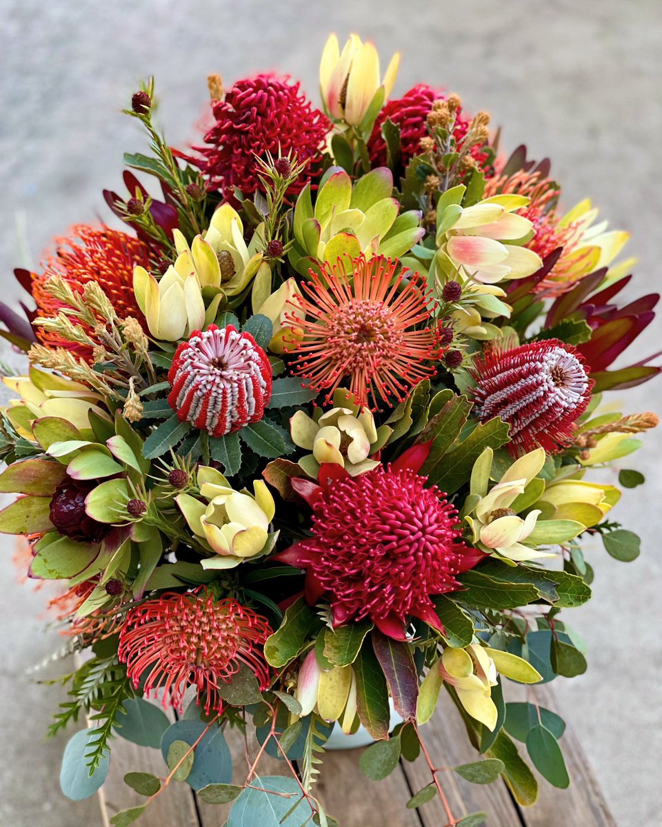 Just a reminder how wonderful nature can be 🍃🌸🌷💫💥🌼🌿 #wellnesswednesday #inspiredbynature #fabulousflorals #protea #colorinspo #texture #embracingtheseason #cagrown