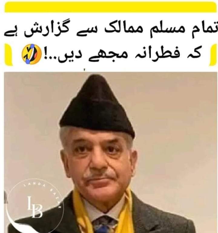 PTI Memes tweet media