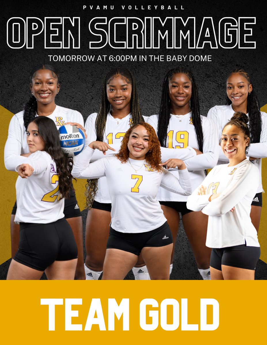 Pvamu_VB tweet picture