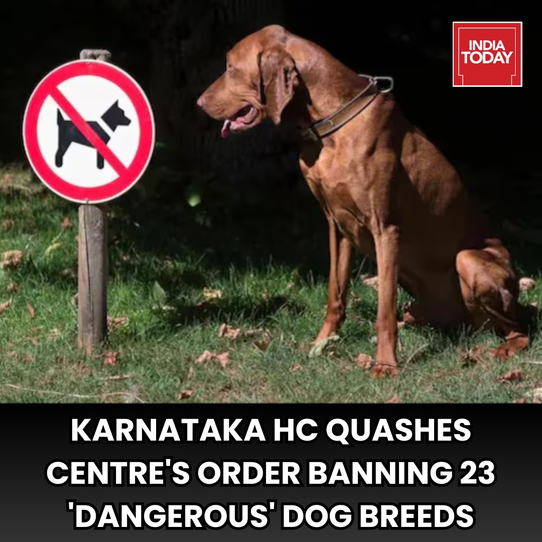 Not at all happy with this news , the Government must figure out some way of tackling this issue . We have seen in recent times dangerous cases popping up in various societies of Delhi , Gurgaon , Noida etc .. 
#Karnatakahighcourt #dogs #indiatoday #asansol #India