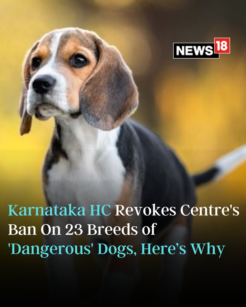 The #KarnatakaHighCourt, while passing the order, stated that should be kept in mind that #petowners are responsible if their #pets injure anyone, and they are the ones who have to pay for the expenses

Read: news18.com/india/ktaka-hc…
