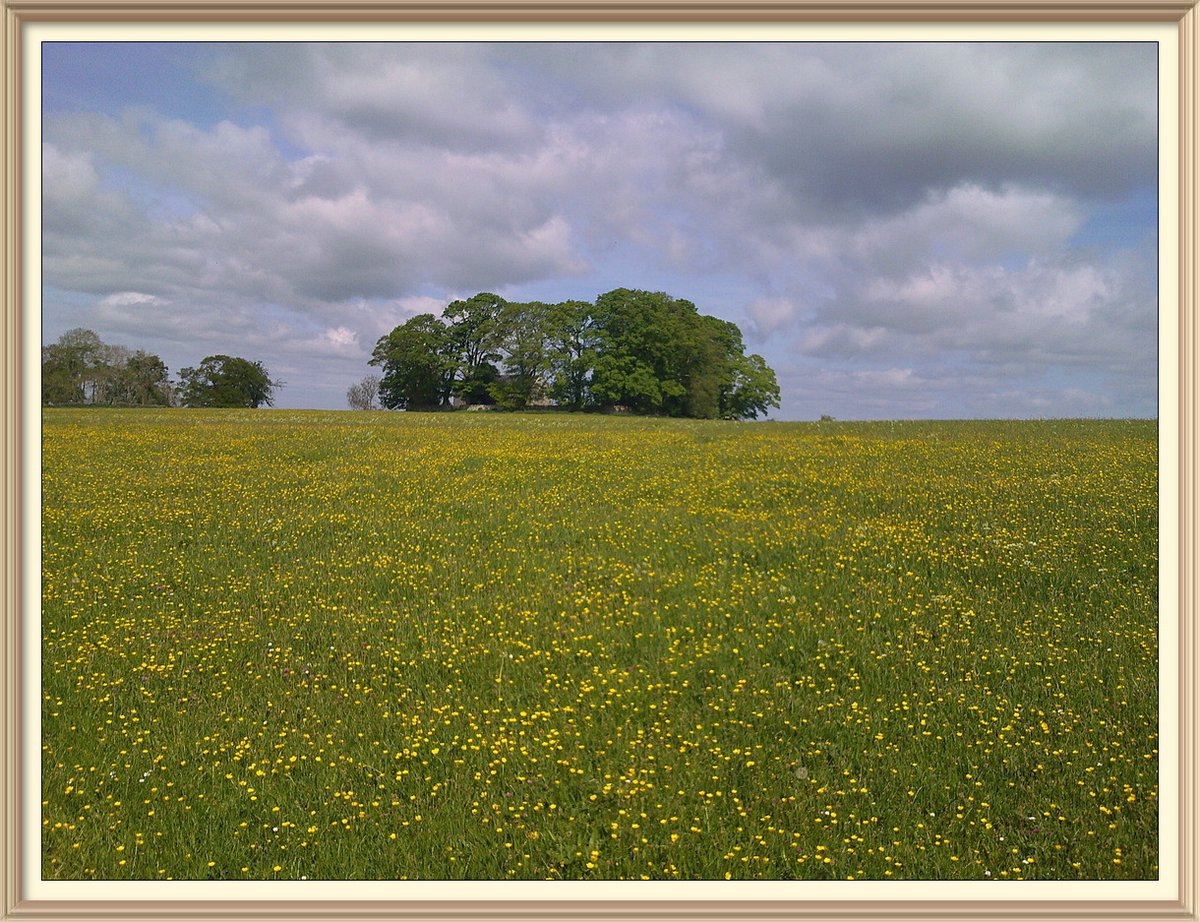 So many favourite spots on Portgate to Heavenfield section of Hadrian's Wall Path National Trail. Going to sign off with pictures of some of them. St. Oswald's Church, Heavenfield, in Wall mile 25.