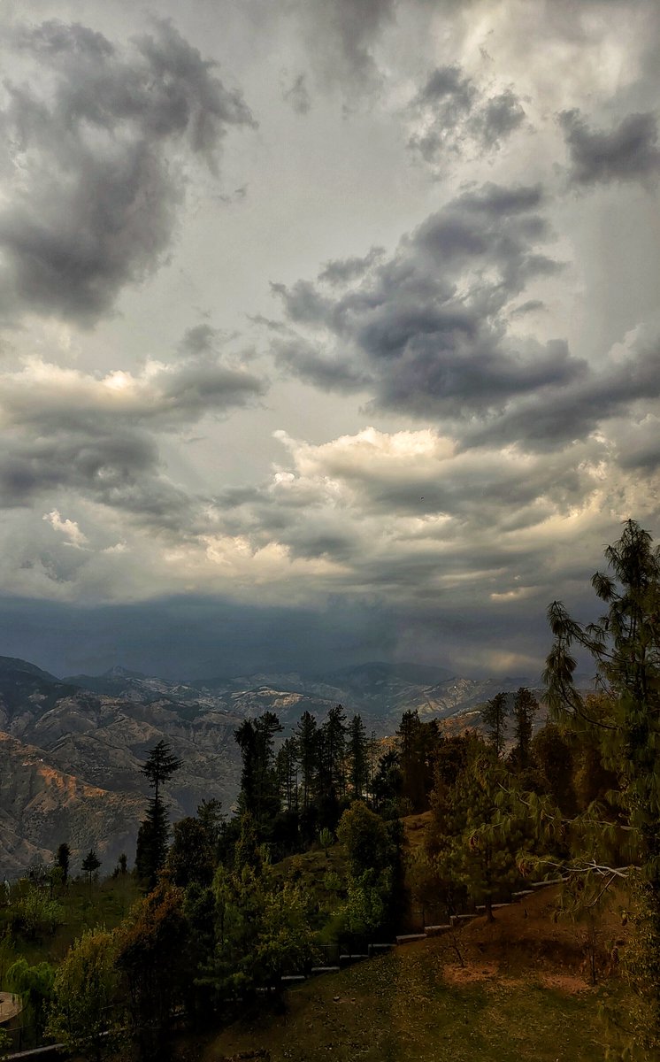 Pitch black clouds almost upon us with deep rumblings or thunder.

Might be in for quite a storm tonight!

#mashobra #HimachalPradesh #mountains #storm