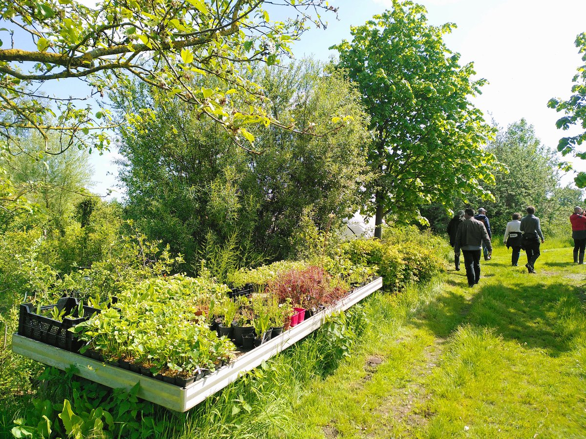 Voor het 1st komt er inzicht in de kosten en baten van een voedselbos en wordt alle relevante kennis en wetgeving helder bij elkaar gezet. 👉Voedselbossen kunnen een rendabele bedrijfstak zijn voor Vlaamse landbouwers. Factsheet & perstekst: lnkd.in/erswmg7m