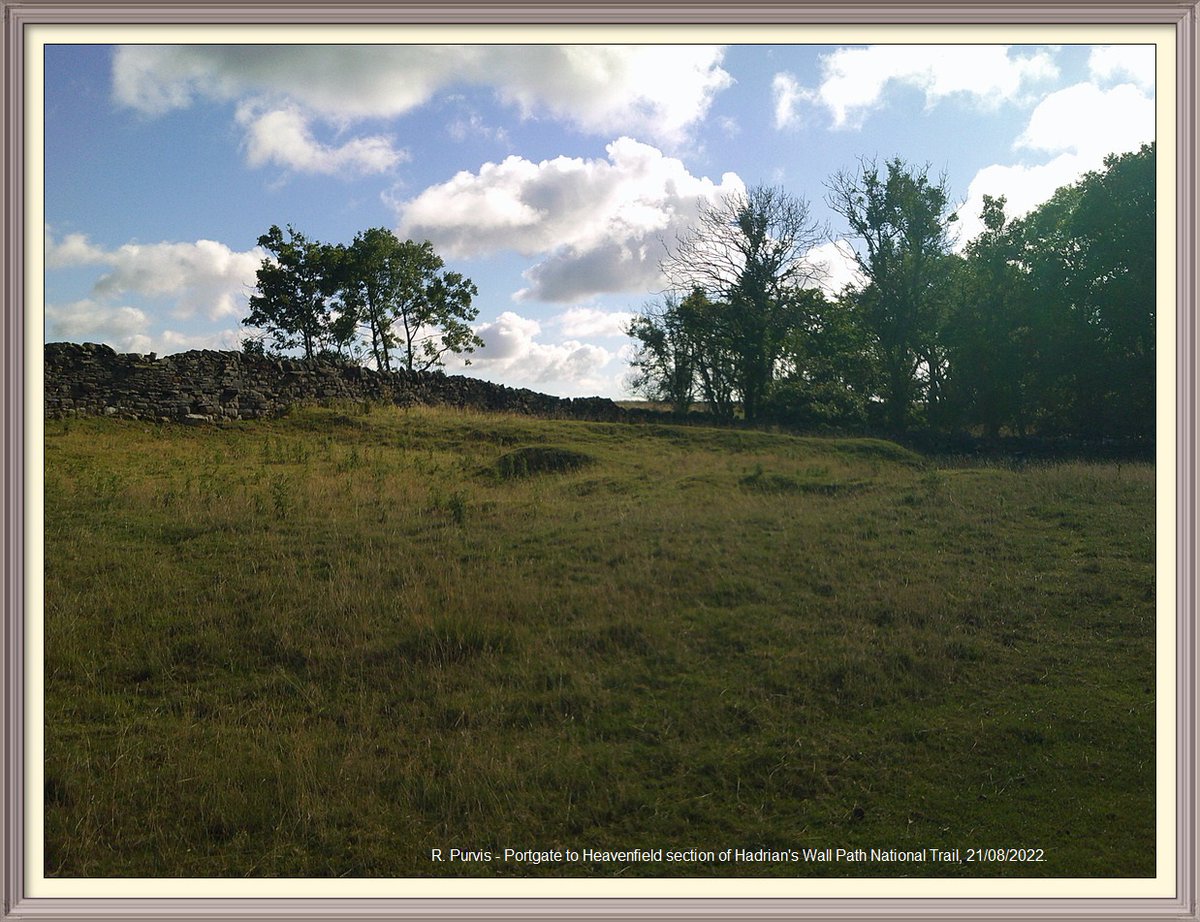 So many favourite spots on Portgate to Heavenfield section of Hadrian's Wall Path National Trail. Going to sign off with pictures of some of them. The site of Milecastle 24 at Errington Hill Head..