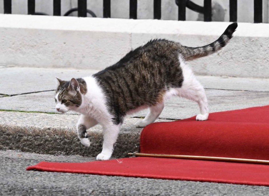 About time they rolled out the red carpet for me! (Photo @PoliticalPics)