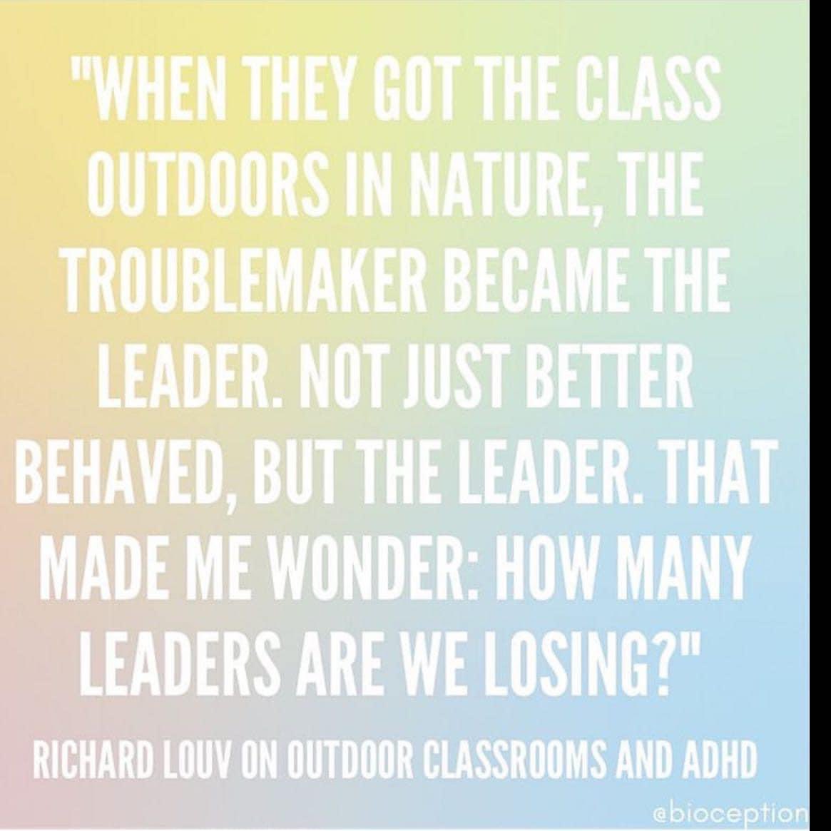 Mud & Bloom🌱 (@mudandbloom) on Twitter photo Quote by <a href="/RichLouv/">Richard Louv</a> 
#outdoorlearning #adhd #natureconnection Quote by <a href="/RichLouv/">Richard Louv</a> 
#outdoorlearning #adhd #natureconnection