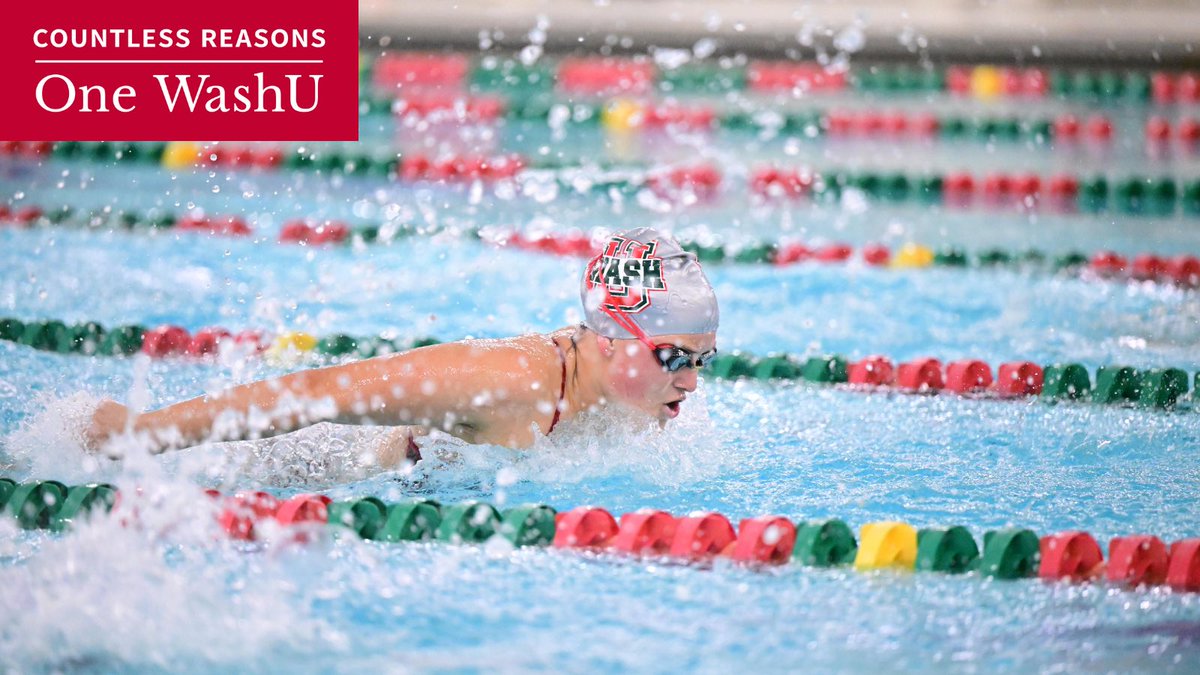 Make a splash this Giving Day and support our swimming & diving team! Your generosity helps us reach new heights in and out the pool. Every gift counts. Let's aim for greatness together! ➡️ bit.ly/washuathletics #WashUGivingDay