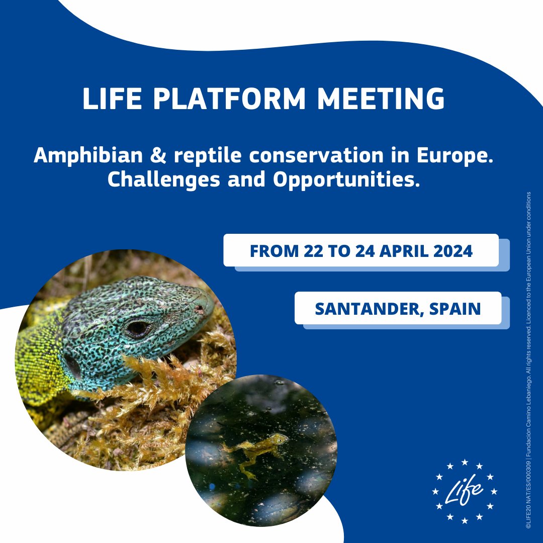 Join the LIFE Platform Meeting on amphibian & reptile🦎 conservation from 22 to 24 May in Santander, Spain. Learn from #LIFEProjects and other relevant experts about the challenges & opportunities for protecting #EUBiodiversity and its habitats. ℹ️: europa.eu/!kp6mGc