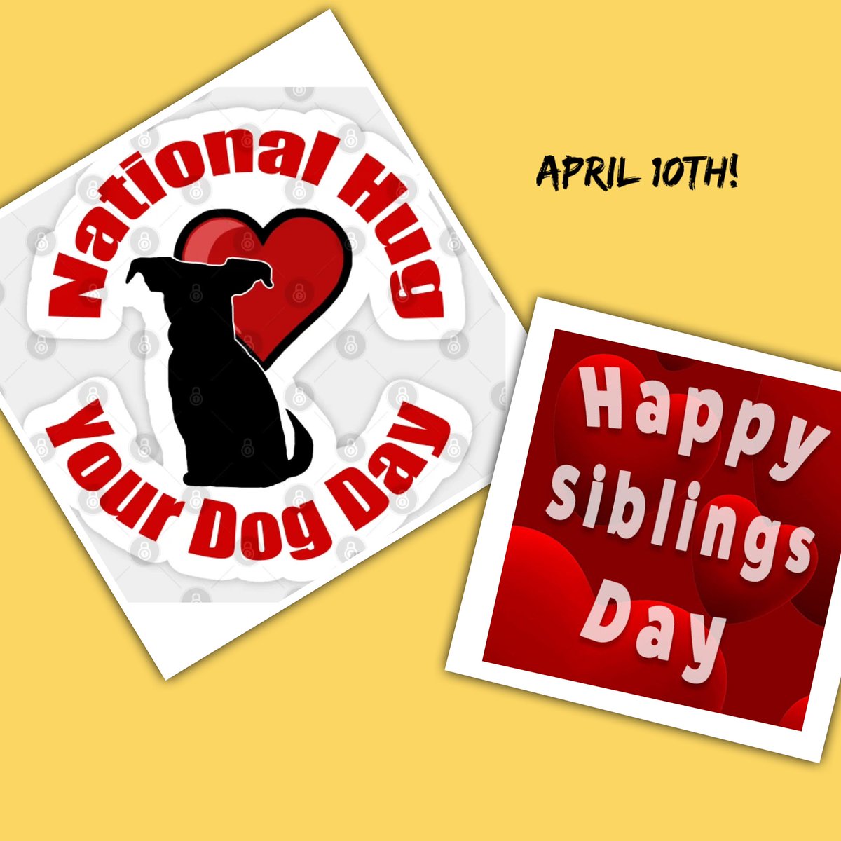 Hug your dog or your siblings ?! Take your pick ! It’s a day to celebrate both ! #hugyourdog #siblinglove #gwr @GarciaBeProud @Pak_Org_ @Finnegan_Team @Tustin2Crush @ATT