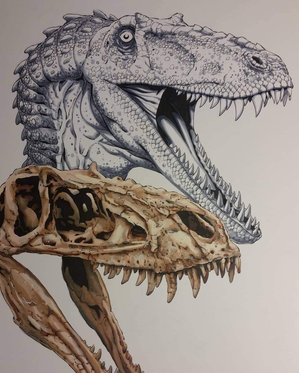 Here's a W.I.P. shot of a thingy I did for my grandson, a dino freak...just like his grandpa.  A reconstruction of Alioramus.