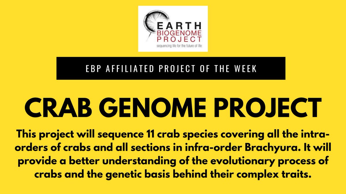 Earth BioGenome Project (@EBPgenome) on Twitter photo 2024-04-10 13:00:18