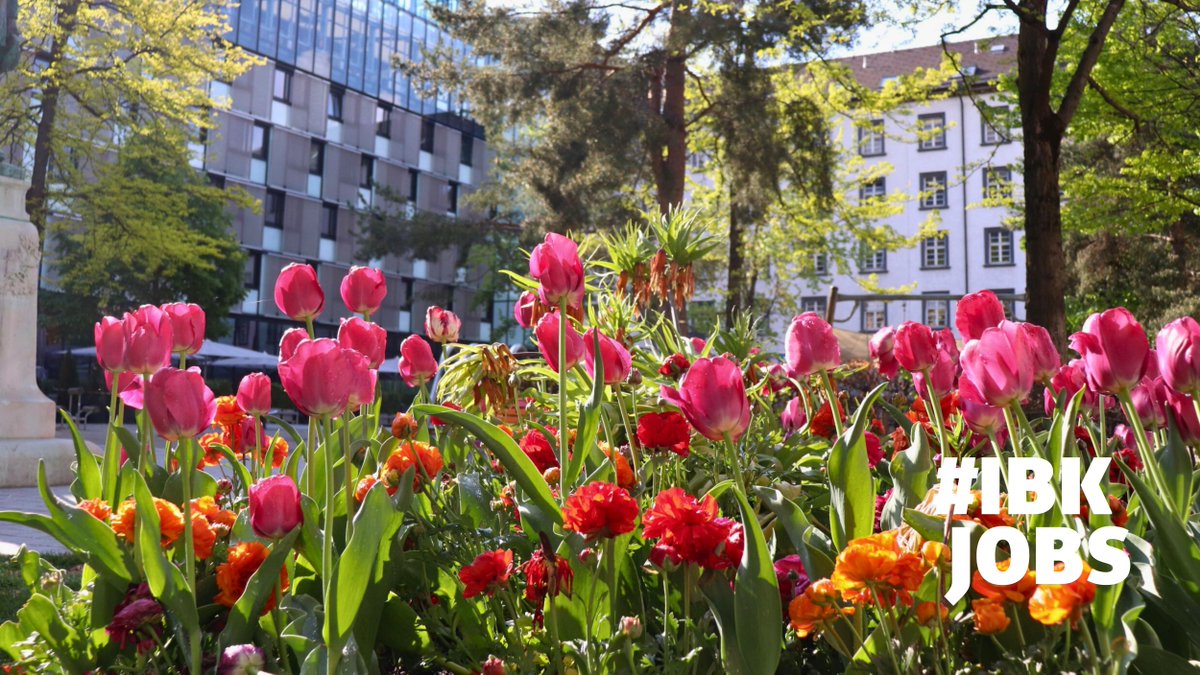 💼 Neue Stellen bei der Stadt: 🏭 Sachbearbeiter/in (m/w/x) im Referat Gewerbe und Betriebsanlagen ⚖️ Rechtskundige Verwaltungspraktikant/innen (w/m/x) 🚒 Mitarbeiter/innen (m/w/x) für den Branddienst ▶️ karriere.innsbruck.gv.at #ibkjobs #karrierebeiderstadt