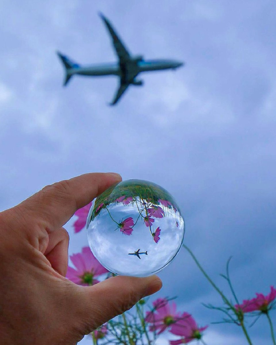 A stunning sight reflected; a moment captured in glass. ​ ​ Thank you for sharing, IG user j.j.art_cube.​ ​ #AllNipponAirways #FlyANA