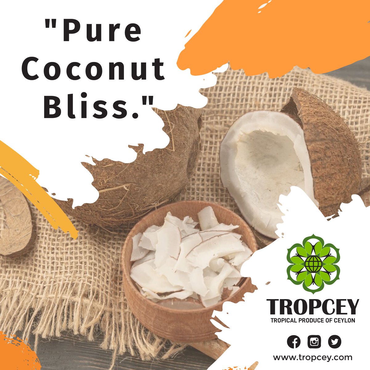 Pure Coconut Bliss 🌴🥥
#purecoconut #tropceyexport #madeinsrilanka #coconutoil #coconutwater #coconutmilk #coconutchips #coconut #coconutproducts #coconutindustry #tropical