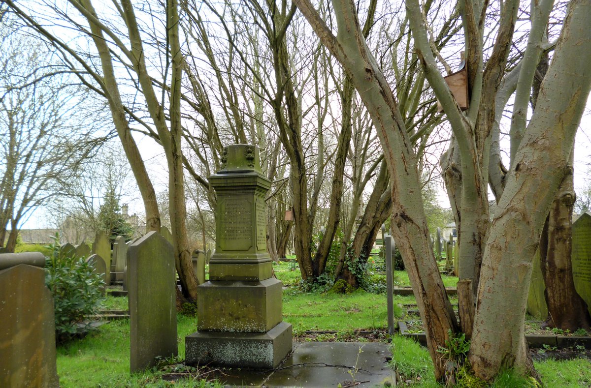 @RCederfjard Gravestones and trees with lovely new bird boxes at Lister Lane Cemetery.