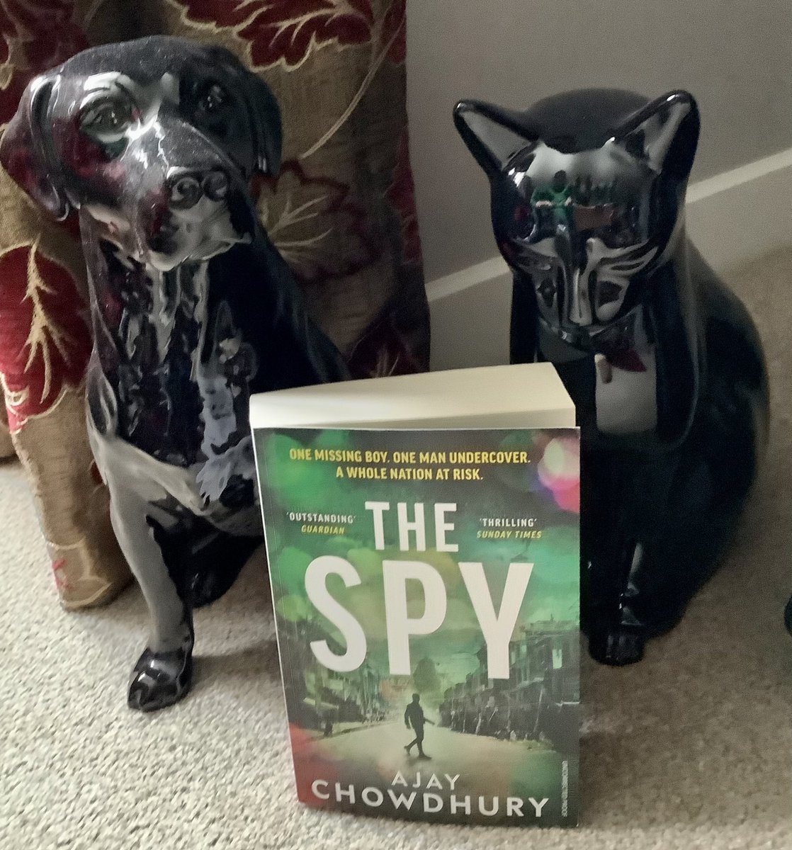 📮📮BOOK POST📮📮 Many thanks to Amelia @penguinrandom @HarvillSecker @vintagebooks for this fabulous proof copy of The Spy by @ajaychow I’m really enjoying this series. If you haven’t already go check them out. The Spy is available now.