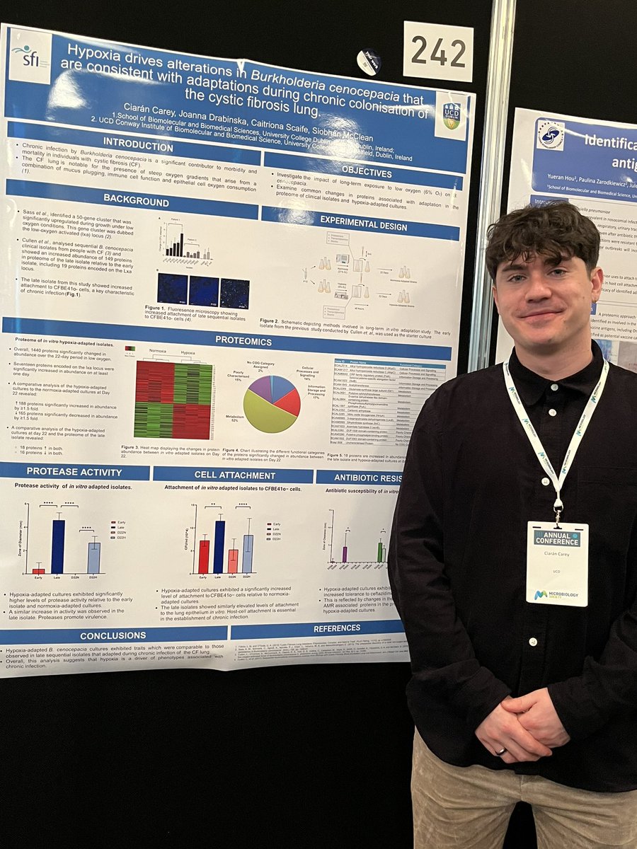 Check out Ciarán Carey’s poster on his PhD work investigating whether hypoxia drives the changes #Burkholderia undergoes as it adapts to chronic infection in the #CysticFibrosis lung. #Microbio24 Thanks @scienceirel for funding. @UCD_Conway @UCD_SBBS