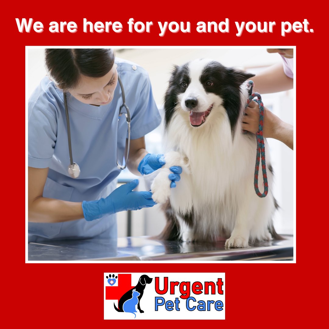 We are here for you and your pet. Need help on nights, weekends, or holidays? We provide convenient walk-in service for you and your pets!

Click the 🔗 in our bio for more information!

#urgentpetcare #emergency #vetlife #animals #cats #dogs #animalcare