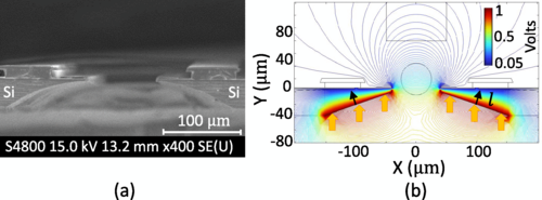 Recently published in PRA: Photoinduced charge-carrier dynamics in a semiconductor-based ion trap investigated via motion-sensitive qubit transitions go.aps.org/43Lb6ON