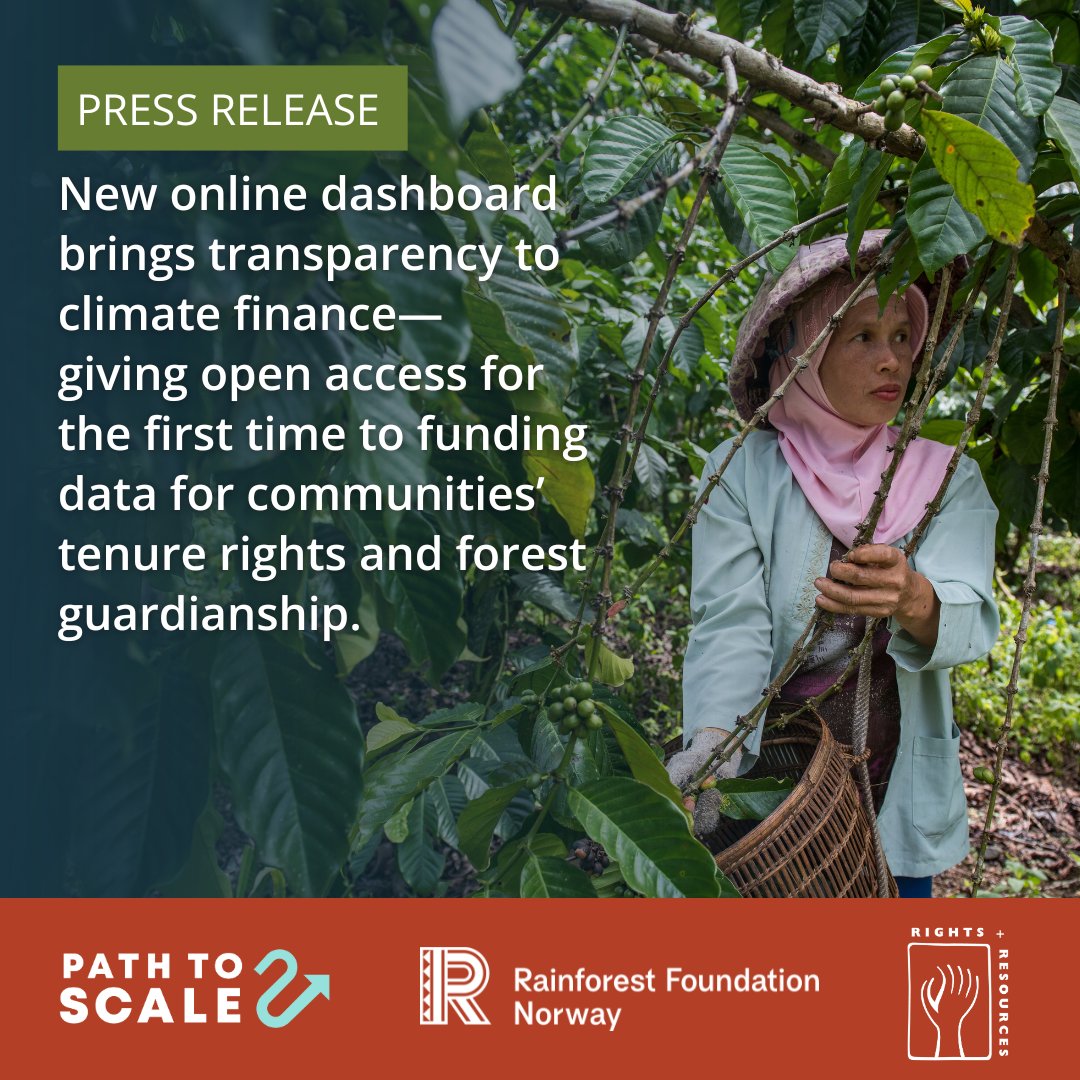RRI - Rights and Resources Initiative (@rightsresources) on Twitter photo 🧵 #NEWS: RRI and <a href="/RainforestNORW/">Rainforest Foundation Norway (RFN)</a> are thrilled to launch the #PathtoScale dashboard—an open-source online tool giving access to donor funding data for the first time for Indigenous Peoples’ and local communities’ rights and forest guardianship. 🧵 #NEWS: RRI and <a href="/RainforestNORW/">Rainforest Foundation Norway (RFN)</a> are thrilled to launch the #PathtoScale dashboard—an open-source online tool giving access to donor funding data for the first time for Indigenous Peoples’ and local communities’ rights and forest guardianship.