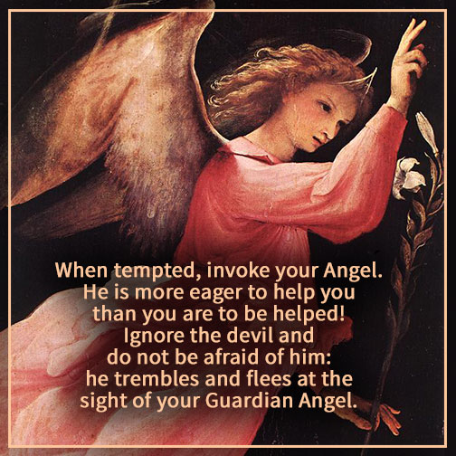 #catholic #angel #guardianangel #anf