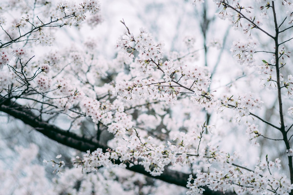 えどちよ@3/22a公式📸 tweet media