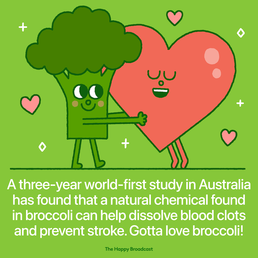 Read more: thehappybroadcast.com/news/broccoli-… #GoodNews