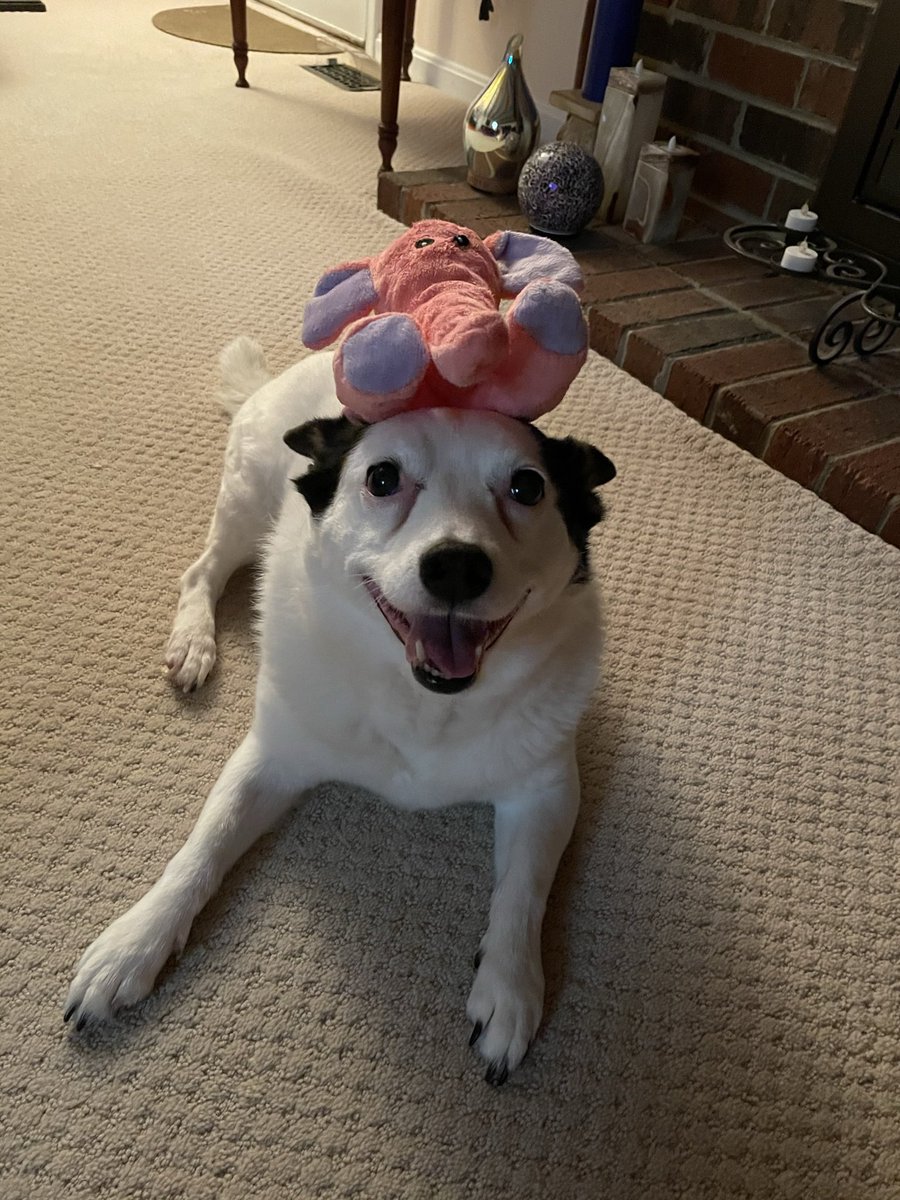 704Matty's tweet image. Happy birthday to my day uno 🤝 @SpacemanSR