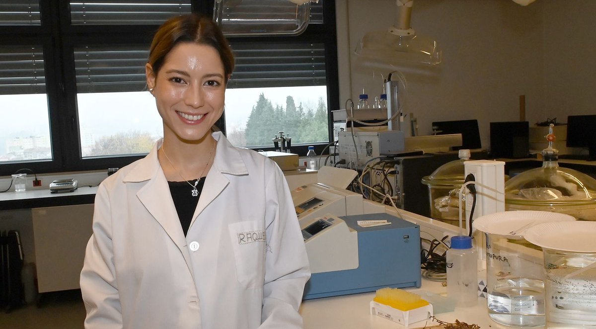 Raquel Fernandes da @UTAD_Oficial está a usar compostos naturais e métodos sustentáveis para sintetizar nanopartículas que poderão ser usadas no desenvolvimento de terapias para o cancro da próstata. buff.ly/4aoei5s #90SegundosCiência