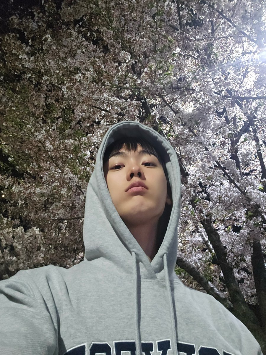 offclASTRO's tweet photo. 벚꽃🌸
날씨 너무좋다😊 https://t.co/cMgsPeK9M9