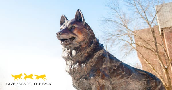 It's time to #GiveBackToThePack! Today, we invite all Huskies to come together and celebrate what makes Michigan Tech special. Find an initiative and make your gift to any area that means most to you. 💛 Find your area to support: mtu.news/sEWN50RbMuE