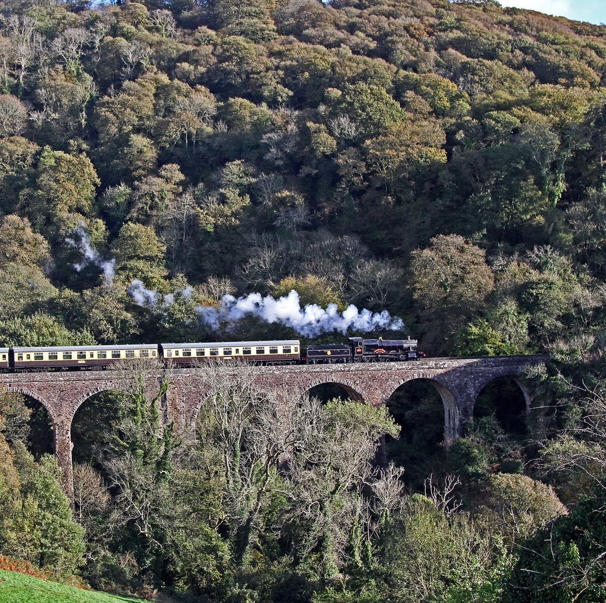 Full steam ahead in to the weekend. 🌳🚂🌳 dartmouthrailriver.co.uk #dartmouthsteamrailway