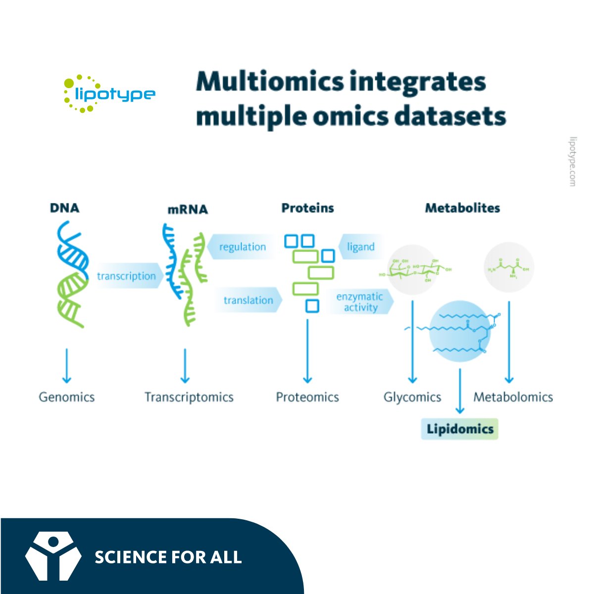 #Multiomics analysis and other biological data can reveal molecular pathways, identify biomarkers, and improve predictions of physiological and pathological processes. More: lipotype.com/lipidomics-app… #research #lipid #lipidomics #LipidMetabolism #lipotype #lipidome