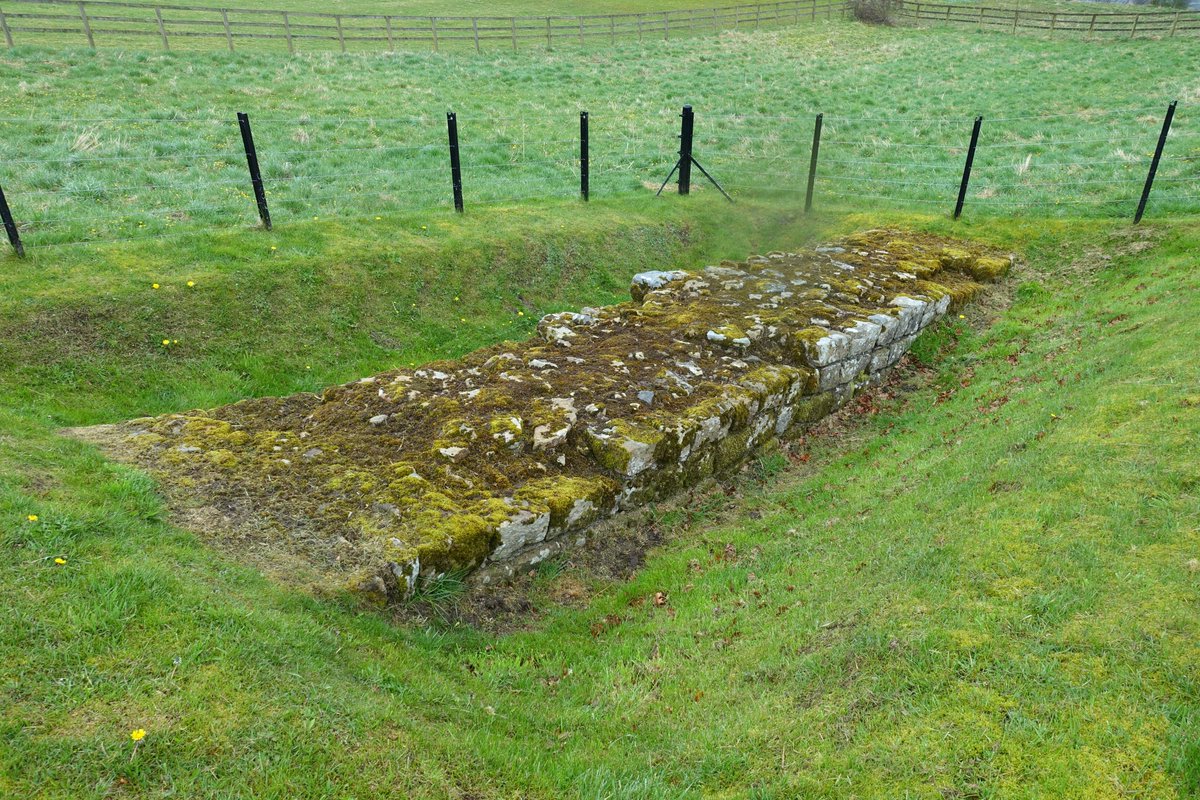 A little bit of Hadrian's Wall close to Chesters fort for #WallsOnWednesday