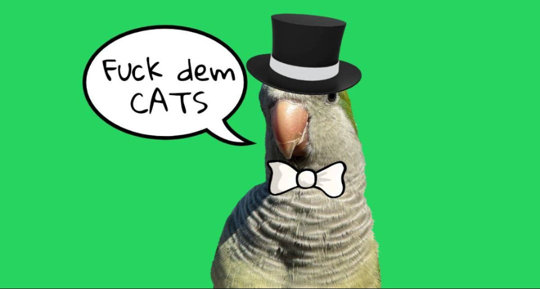 &RES (@ajgv1975) on Twitter photo Gm gm
The <a href="/PepeApeYC/">Pepe Ape Yacht Club</a> Ecosystem growing and thriving π₯
An amazing Hump to everyone
Keep the grind! Sheeeeeeeshhhhh
Greenchip NFTs π©
#PAYC @KIWISPL $Shs @SheeshSPL $Sheesh #MPYC
#Elementals $Kiwi Gm gm
The <a href="/PepeApeYC/">Pepe Ape Yacht Club</a> Ecosystem growing and thriving π₯
An amazing Hump to everyone
Keep the grind! Sheeeeeeeshhhhh
Greenchip NFTs π©
#PAYC @KIWISPL $Shs @SheeshSPL $Sheesh #MPYC
#Elementals $Kiwi