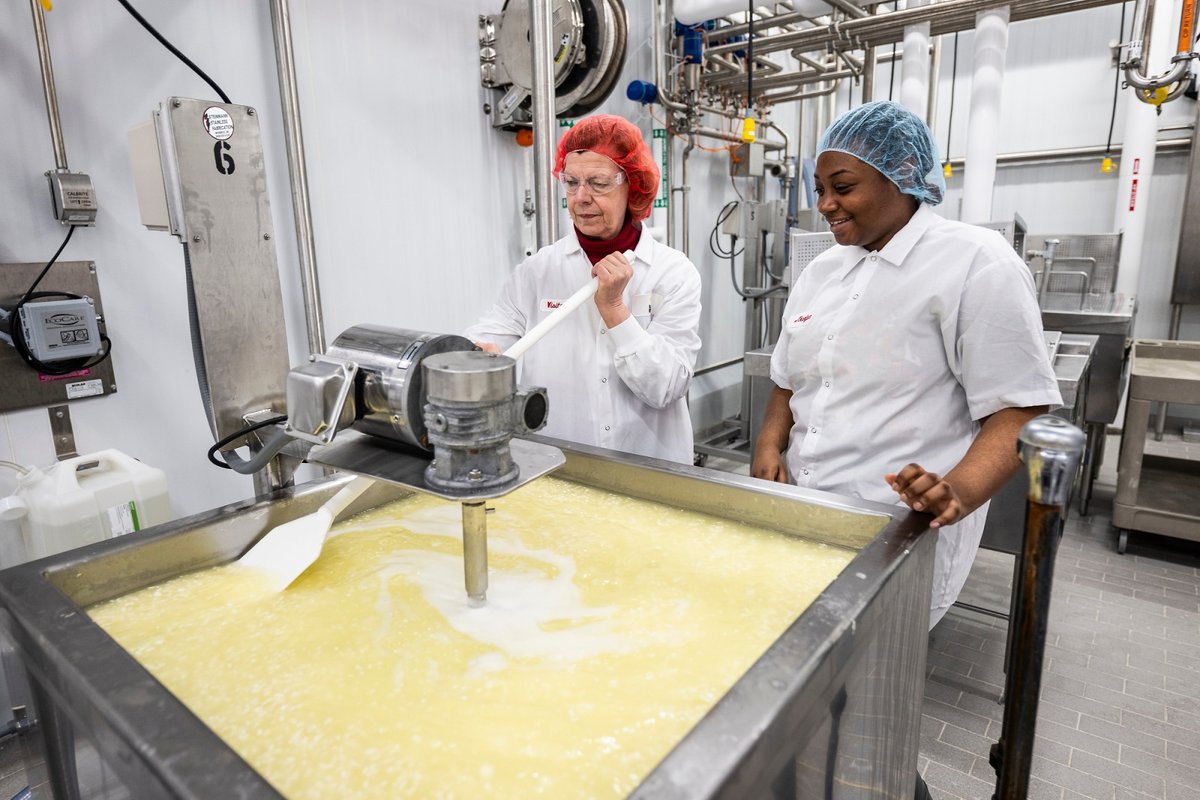 Earlier this month, @SenatorBaldwin visited @WICDR to learn how @uwmadison is supporting new dairy businesses — and to see their work in action. 🧀 Learn more: news.wisc.edu/sen-baldwin-vi…