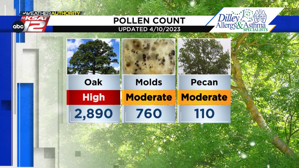 All three pollens go higher today. 🤧 🤧Wednesday's Pollen Count 🤧