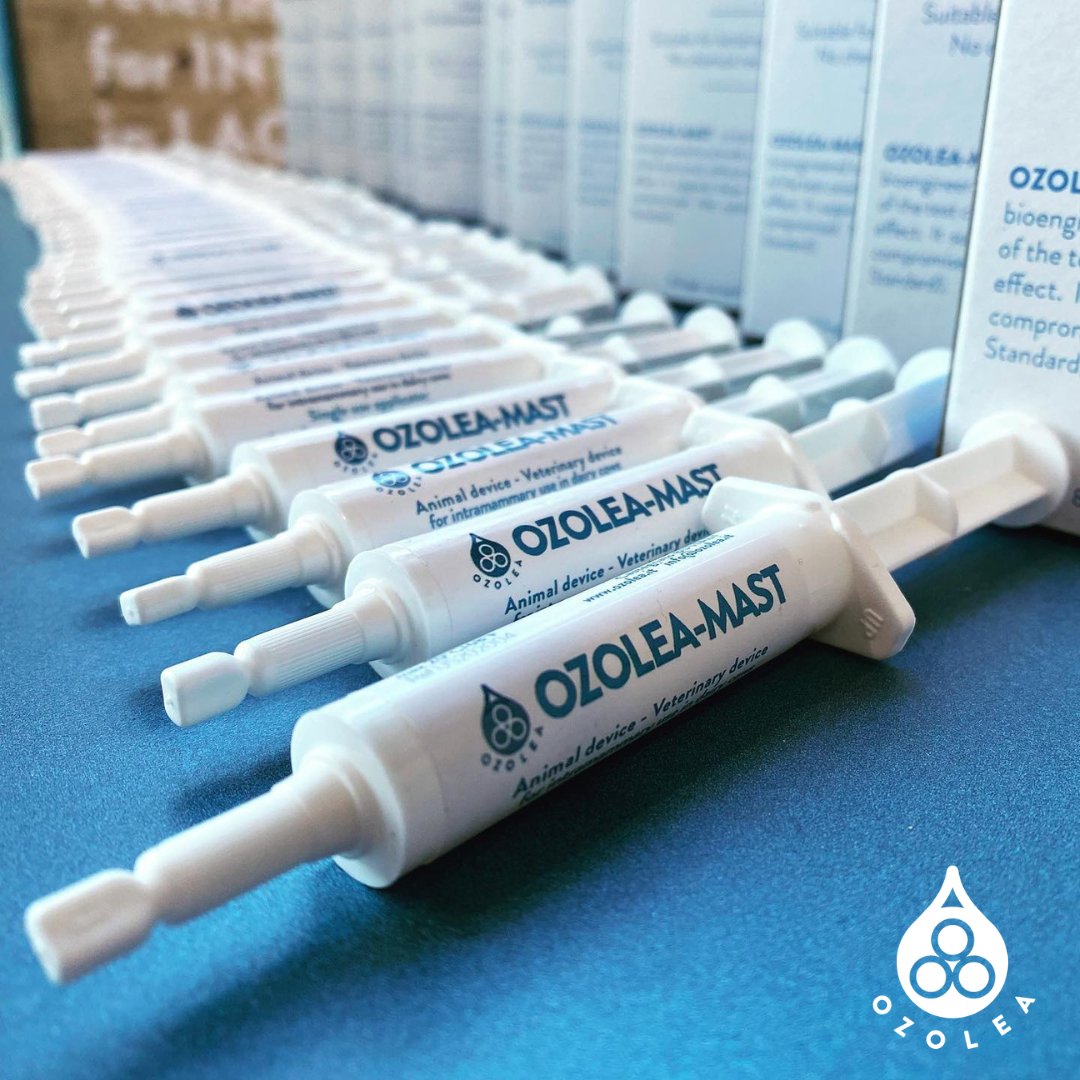 🇺🇸 Can OZOLEA-MAST help farmers reduce the number of cows in the hospital pen? 

Find out more in our new focus 👉 ozolea.it/the-perfect-si…

#OZOLEAMAST #udder #AMR #lactation #hospitalpen
