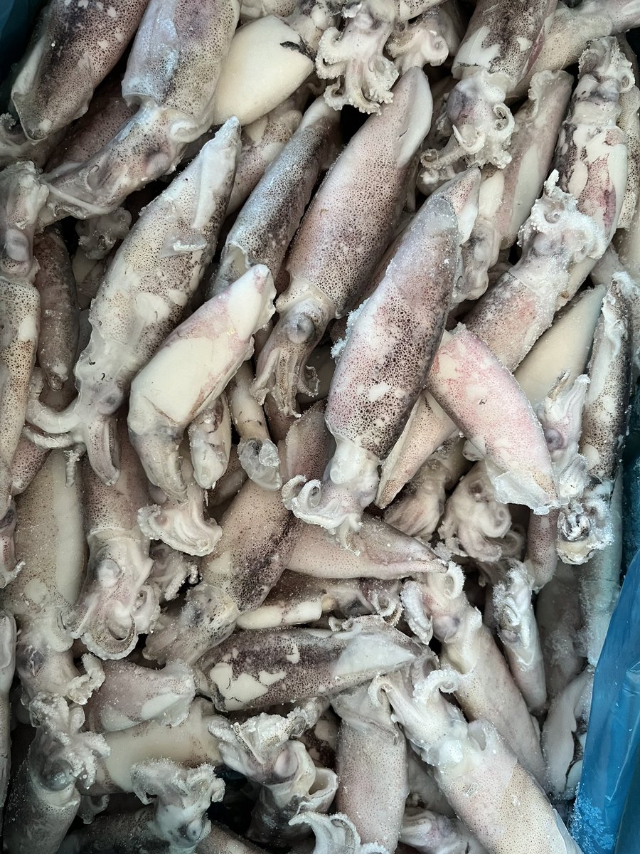 Frozen patagonia gahi loligo supply
Our own fishing raw materials
Size: 8-10cm &amp; 10-13cm 
IQF, with tip, EU standard
10kg/ carton in bulk 
Any interest pls contact me through:
WhatsApp: +8615192796099
WeChat: +8617662701293
Email: xyk1205@126.com