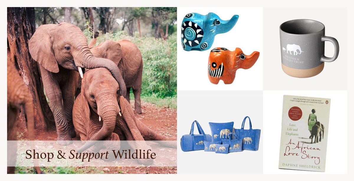 From mini mascots to our new mugs, our online Shops are full of gift ideas for loved ones – or a treat for yourself! Even better, every purchase helps to save wildlife under threat. Shop today: sheldrickwildlifetrust.org/shop (Products may vary across our US/Global online shops)