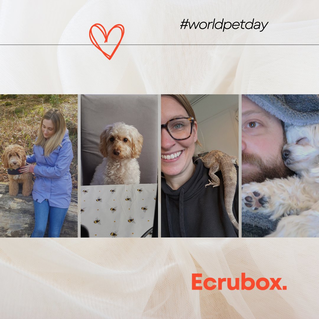 Here at Ecrubox, our employees are paws-itively crazy about their furry companions! 🐶🐱   

Our pets make every day brighter, so we love to show them off! ❤️🐾   

#WorldPetDay #EcruboxPets