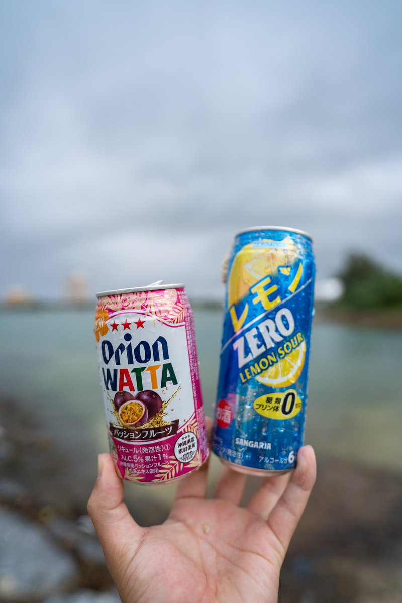 海見ながら飲む酒は美味いよなー
だからこそ来た時よりも綺麗に！

ー Beach Clean Up 2024.4.9
📍アラハビーチ

#MeGo
#ミーゴー
#BeachClean
#ビーチクリーン