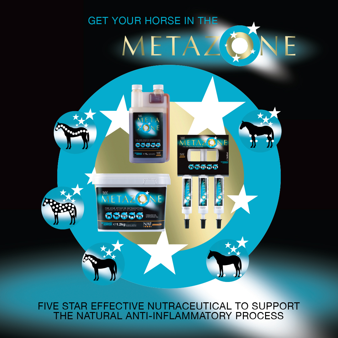 Get your horse in the zone with NAF Five Star Metazone, our Five Star effective nutraceutical to support the natural anti-inflammatory process.