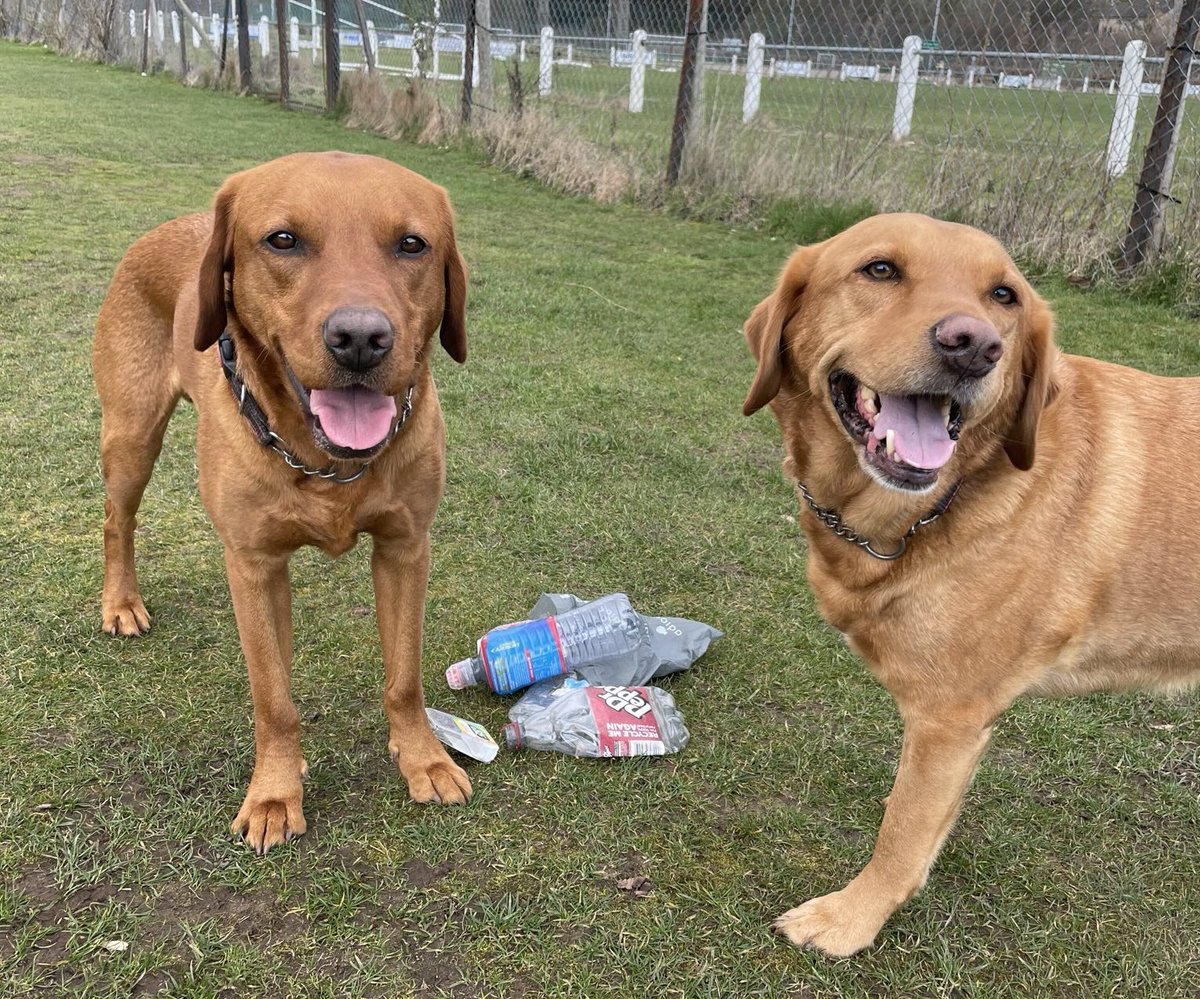 Happy #TongueOutTuesday every day! Picking up a couple of pieces of #litter on walks to protect animals & the #environment makes everyone happy. 26,000 dog owners & counting…. Join us! #dogsofx #Wednesdayvibe