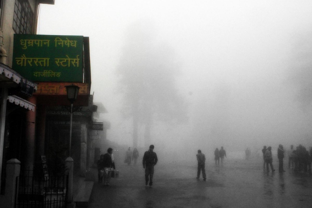 Misty Darjeeling morning (2013)