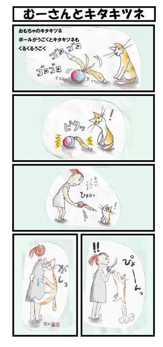 くるくるまわるキタキツネです🦊
 #ねこ #四コマ漫画 