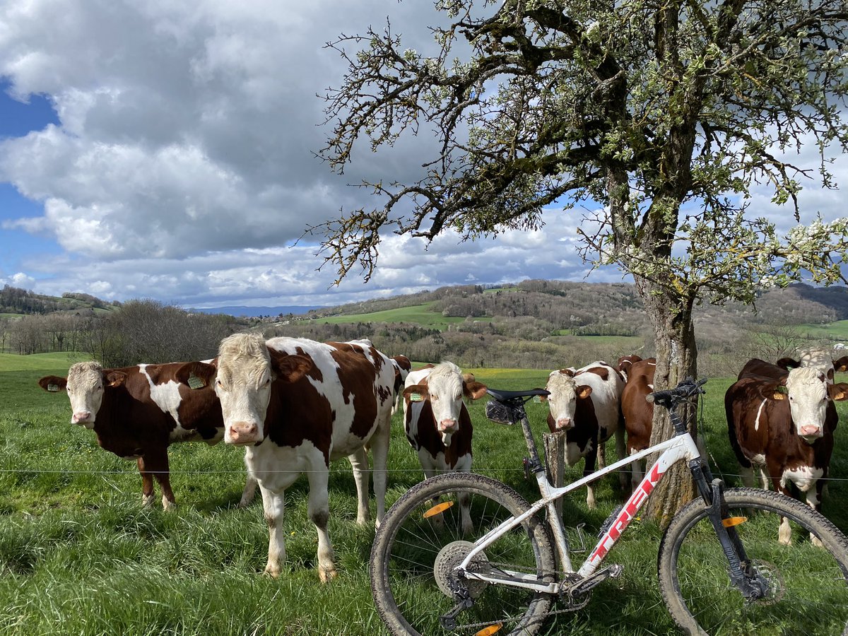 #moo #cycling